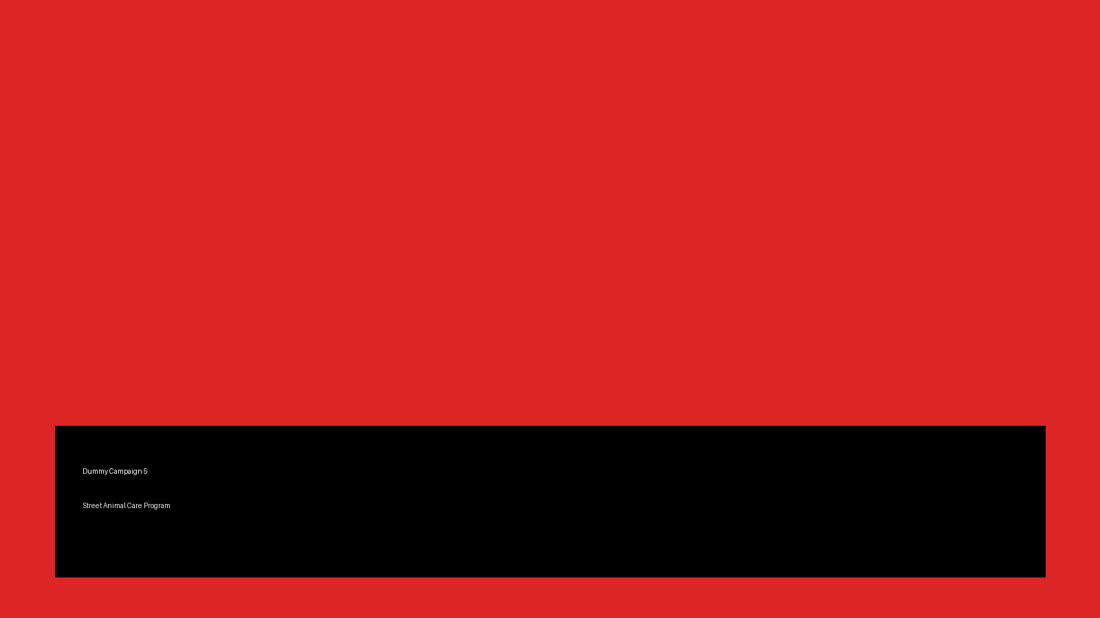 Street Animal Care Program