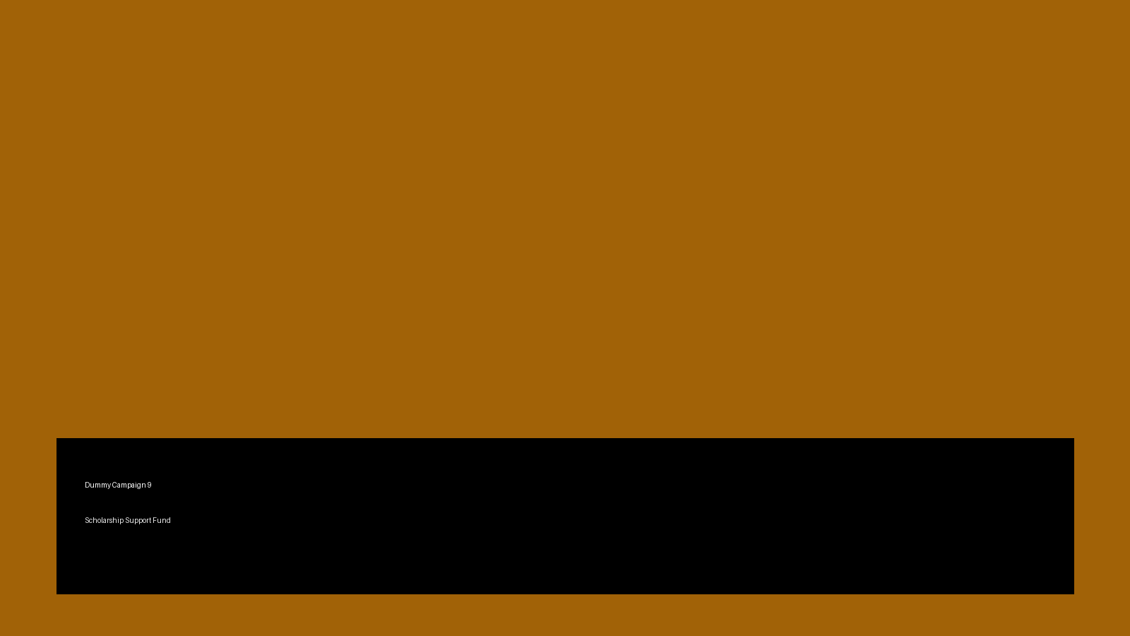 Scholarship Support Fund